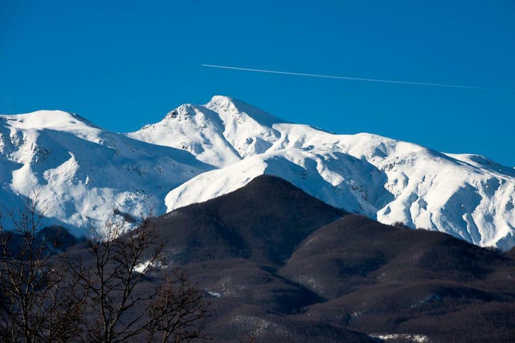 B&B Le Peschiere Montefiorino Eksteriør billede